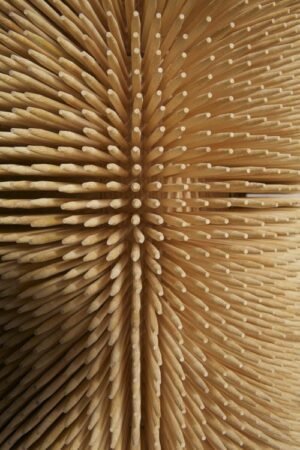 Magistral Cabinet by Sebastian Errazuriz - Bamboo Design